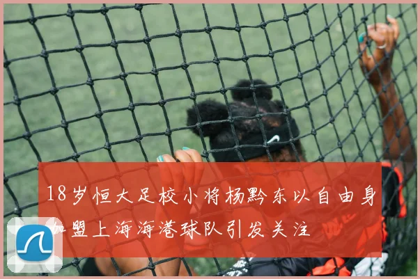 18岁恒大足校小将杨黔东以自由身加盟上海海港球队引发关注