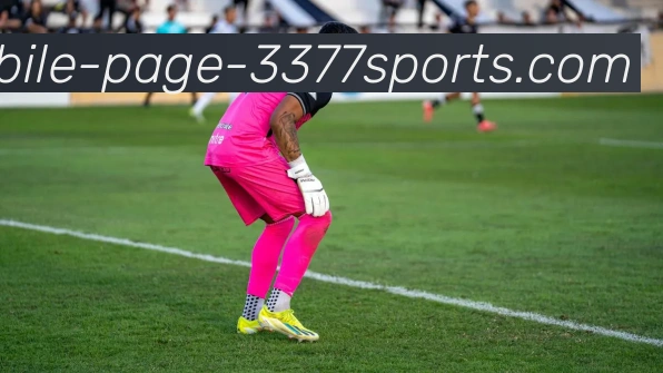 3377体育APP 封面图